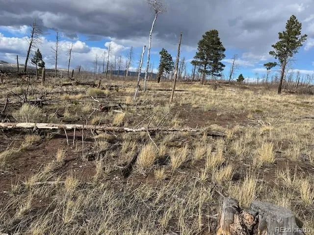 Lot 1020 & 1021 Hassan Lane Fort Garland, CO 81133