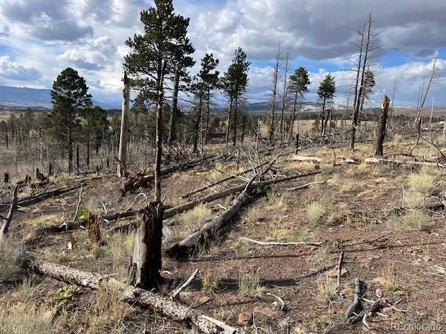 Lot 1020 & 1021 Hassan Lane Fort Garland, CO 81133