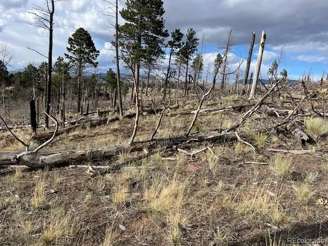 Lot 1020 & 1021 Hassan Lane Fort Garland, CO 81133