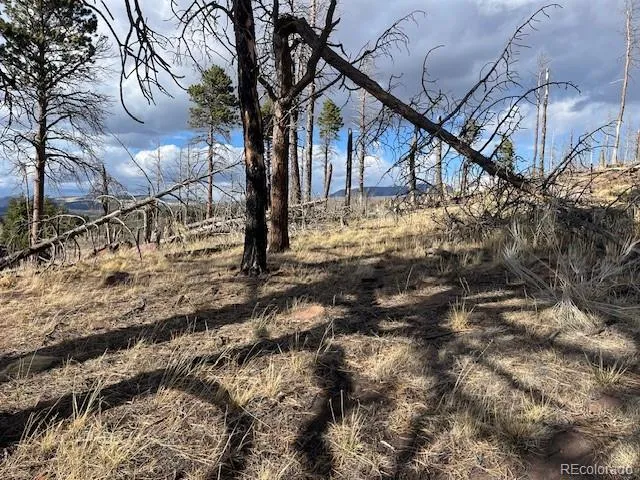 Lot 1020 & 1021 Hassan Lane Fort Garland, CO 81133