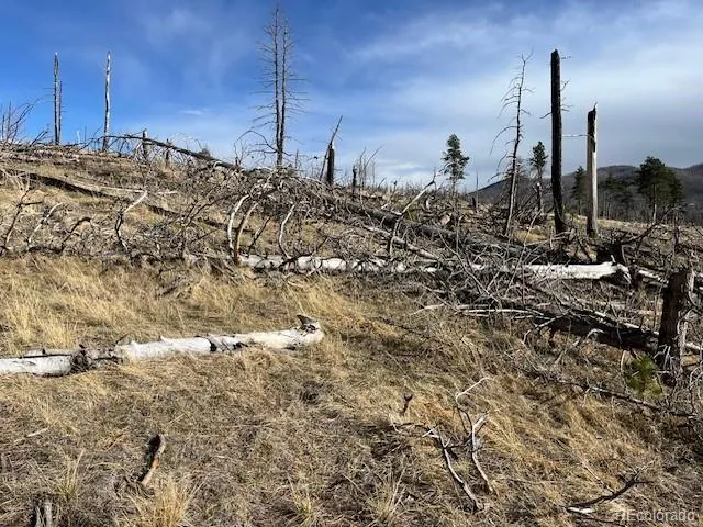 Lot 1020 & 1021 Hassan Lane Fort Garland, CO 81133
