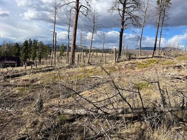 Lot 1020 & 1021 Hassan Lane Fort Garland, CO 81133