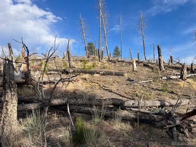 Lot 1020 & 1021 Hassan Lane Fort Garland, CO 81133