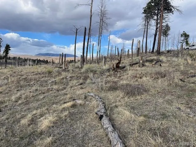 Lot 1020 & 1021 Hassan Lane Fort Garland, CO 81133