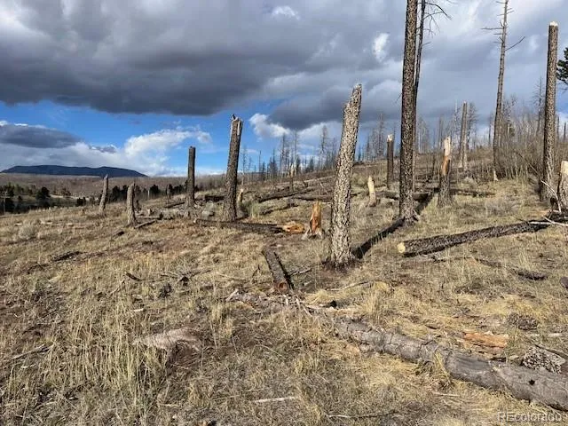 Lot 1020 & 1021 Hassan Lane Fort Garland, CO 81133