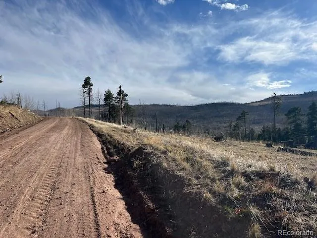 Lot 1020 & 1021 Hassan Lane Fort Garland, CO 81133