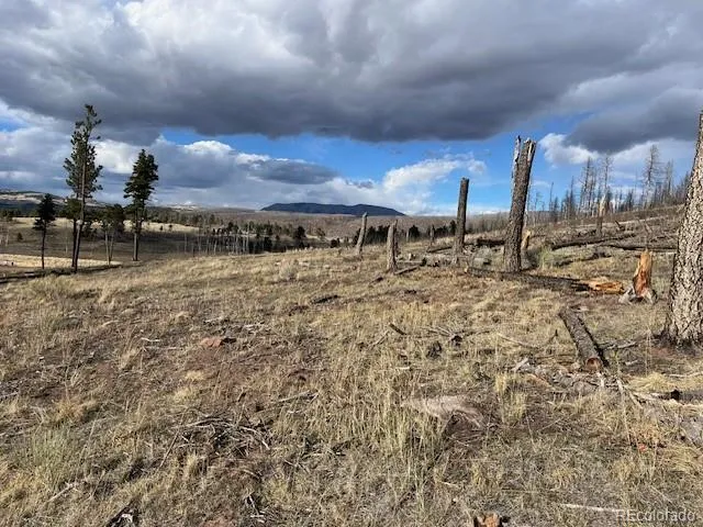 Lot 1020 & 1021 Hassan Lane Fort Garland, CO 81133