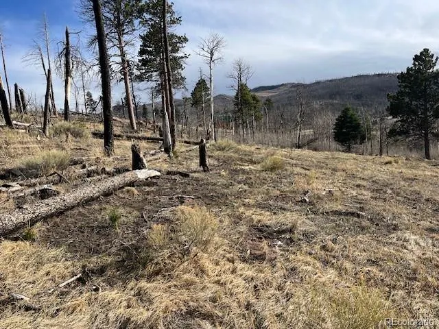 Lot 1020 & 1021 Hassan Lane Fort Garland, CO 81133