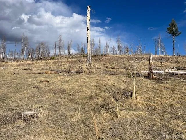 Lot 1020 & 1021 Hassan Lane Fort Garland, CO 81133