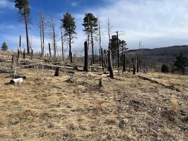 Lot 1020 & 1021 Hassan Lane Fort Garland, CO 81133