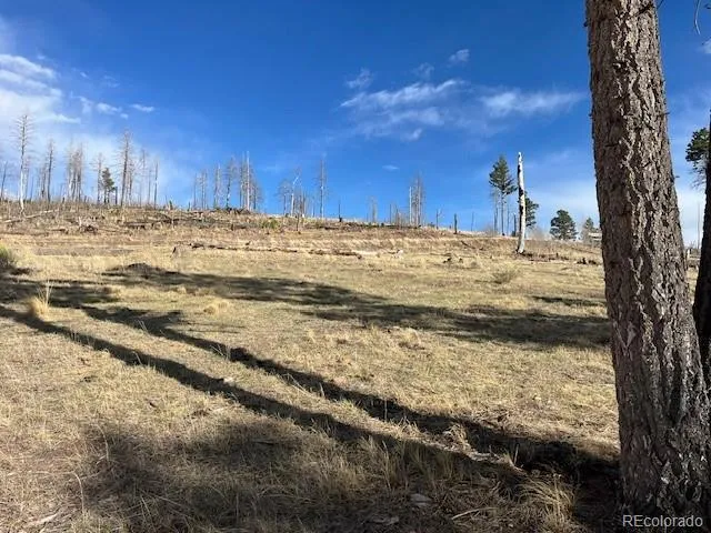 Lot 1020 & 1021 Hassan Lane Fort Garland, CO 81133