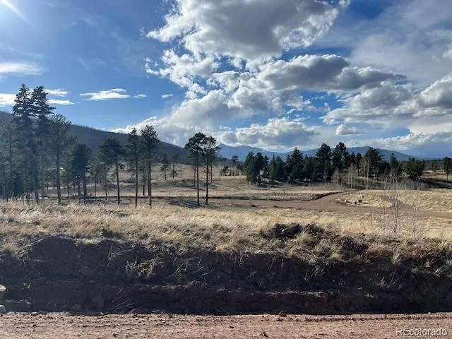 Lot 1020 & 1021 Hassan Lane Fort Garland, CO 81133