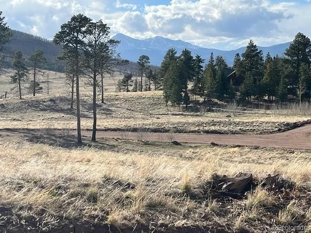 Lot 1020 & 1021 Hassan Lane Fort Garland, CO 81133