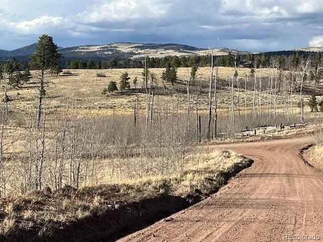 Lot 1020 & 1021 Hassan Lane Fort Garland, CO 81133