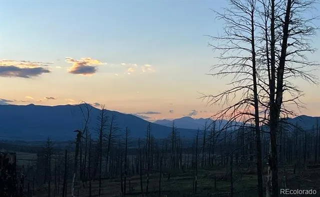 Lot 1020 & 1021 Hassan Lane Fort Garland, CO 81133