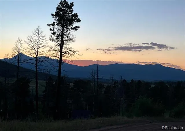 Lot 1020 & 1021 Hassan Lane Fort Garland, CO 81133