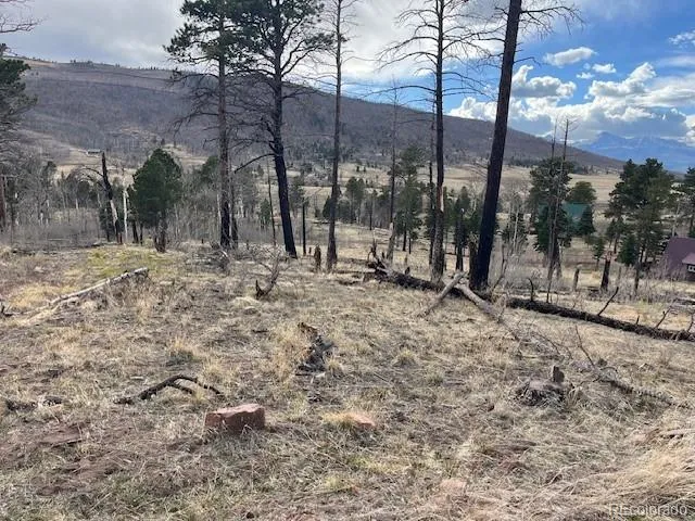 Lot 1020 & 1021 Hassan Lane Fort Garland, CO 81133