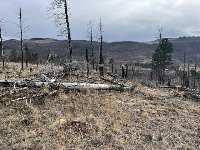 Lot 1020 & 1021 Hassan Lane Fort Garland, CO 81133