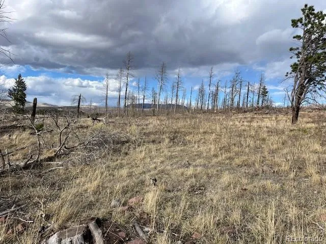 Lot 1020 & 1021 Hassan Lane Fort Garland, CO 81133