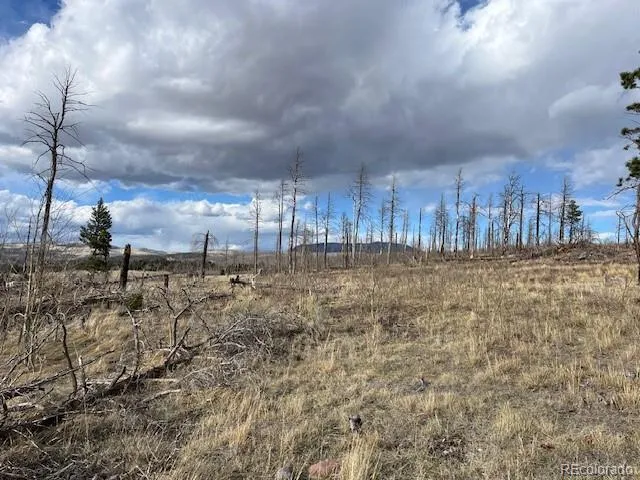 Lot 1020 & 1021 Hassan Lane Fort Garland, CO 81133