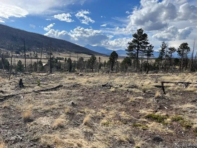 Lot 1020 & 1021 Hassan Lane Fort Garland, CO 81133