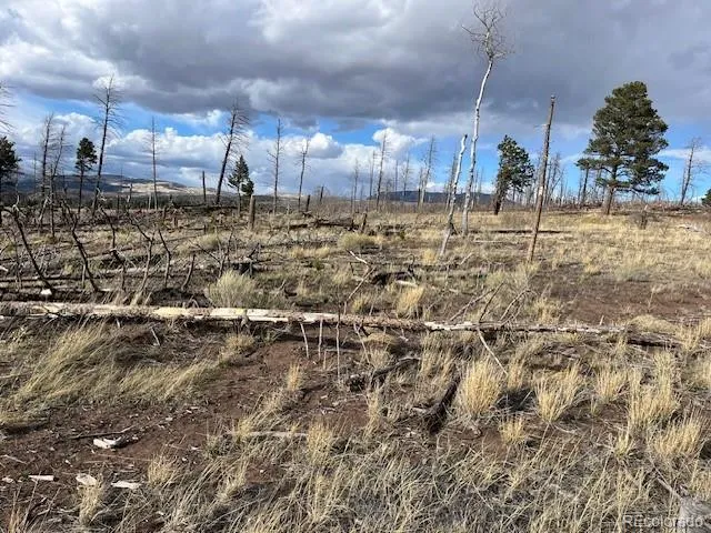 Lot 1020 & 1021 Hassan Lane Fort Garland, CO 81133