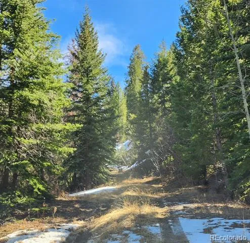 10151 Coronado Circle Morrison, CO 80465