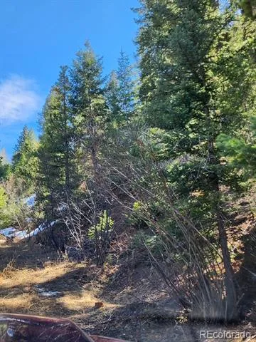 10151 Coronado Circle Morrison, CO 80465