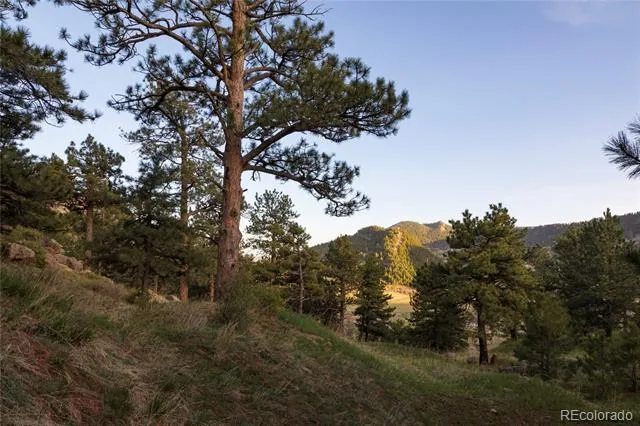 64 Canyon Pines Drive Arvada, CO 80403