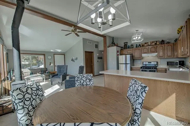 394 CO RD 14A Fairplay, CO 80440