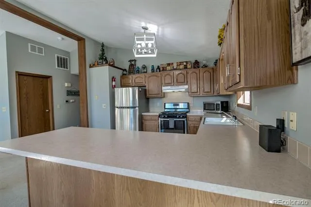 394 CO RD 14A Fairplay, CO 80440