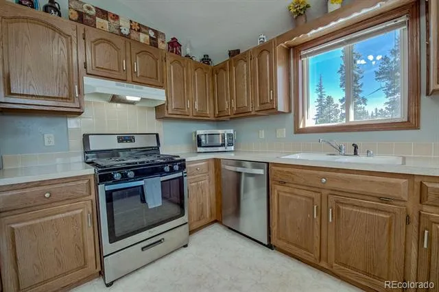 394 CO RD 14A Fairplay, CO 80440