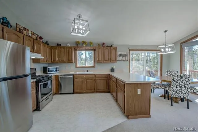 394 CO RD 14A Fairplay, CO 80440