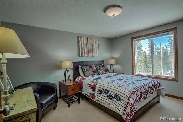 394 CO RD 14A Fairplay, CO 80440