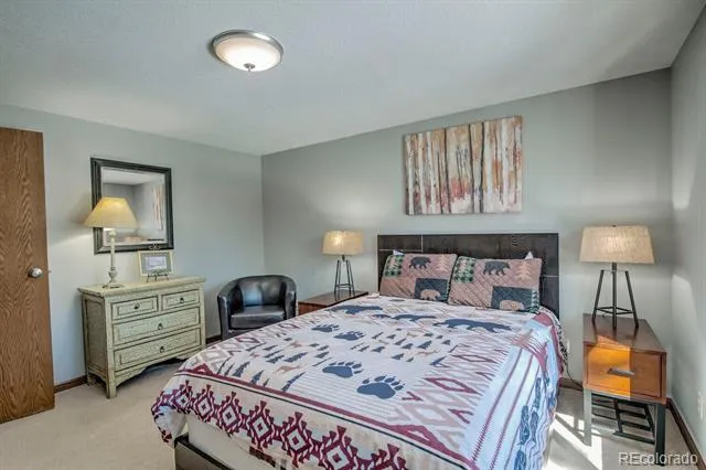 394 CO RD 14A Fairplay, CO 80440