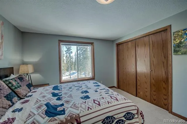 394 CO RD 14A Fairplay, CO 80440