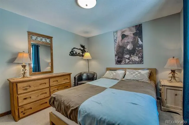394 CO RD 14A Fairplay, CO 80440