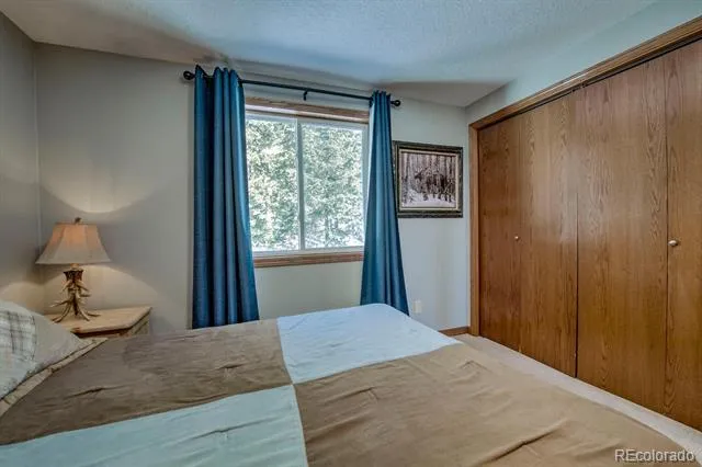 394 CO RD 14A Fairplay, CO 80440