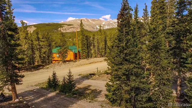 394 CO RD 14A Fairplay, CO 80440