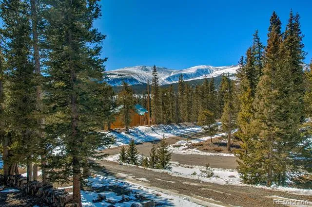 394 CO RD 14A Fairplay, CO 80440