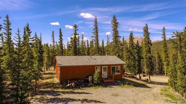 394 CO RD 14A Fairplay, CO 80440