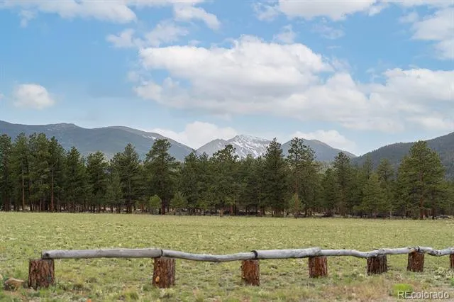 31322 Meadow Way Buena Vista, CO 81211