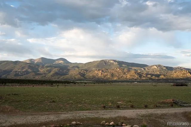31322 Meadow Way Buena Vista, CO 81211