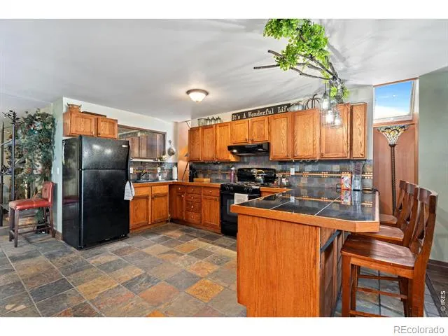 260 Coyote Holler Way Livermore, CO 80536