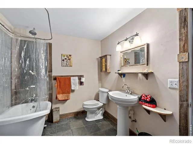 260 Coyote Holler Way Livermore, CO 80536