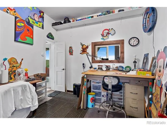 260 Coyote Holler Way Livermore, CO 80536