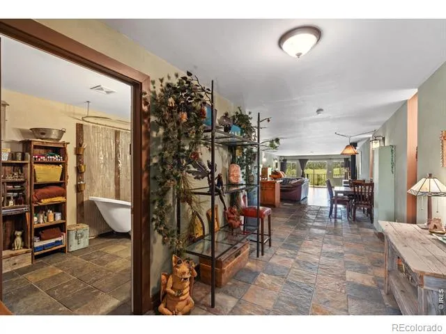 260 Coyote Holler Way Livermore, CO 80536