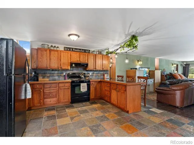 260 Coyote Holler Way Livermore, CO 80536