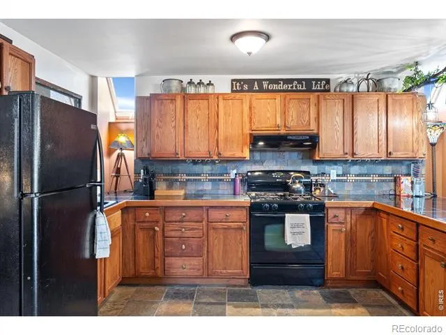 260 Coyote Holler Way Livermore, CO 80536