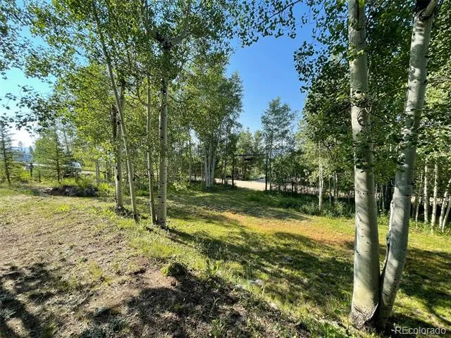 53 Alpine Drive Tabernash, CO 80478